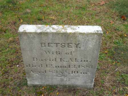 AKIN, BETSEY - Barnstable County, Massachusetts | BETSEY AKIN - Massachusetts Gravestone Photos