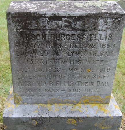 ELLIS, HARRIET NEWELL - Barnstable County, Massachusetts | HARRIET NEWELL ELLIS - Massachusetts Gravestone Photos