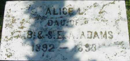 ADAMS, ALICE L - Berkshire County, Massachusetts | ALICE L ADAMS - Massachusetts Gravestone Photos