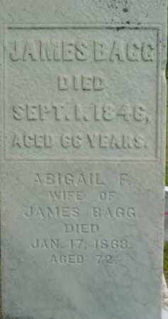 BAGG, JAMES - Berkshire County, Massachusetts | JAMES BAGG - Massachusetts Gravestone Photos