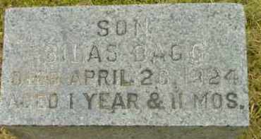 BAGG, SILAS - Berkshire County, Massachusetts | SILAS BAGG - Massachusetts Gravestone Photos