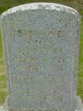 BARNES, BETSEY K - Berkshire County, Massachusetts | BETSEY K BARNES - Massachusetts Gravestone Photos