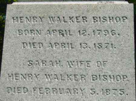 BISHOP, HENRY WALKER - Berkshire County, Massachusetts | HENRY WALKER BISHOP - Massachusetts Gravestone Photos