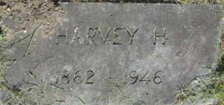 DEWEY, HARVEY H - Berkshire County, Massachusetts | HARVEY H DEWEY - Massachusetts Gravestone Photos