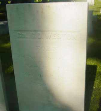 WESTON, G D - Berkshire County, Massachusetts | G D WESTON - Massachusetts Gravestone Photos