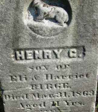 BIRGE, HENRY G - Hampden County, Massachusetts | HENRY G BIRGE - Massachusetts Gravestone Photos