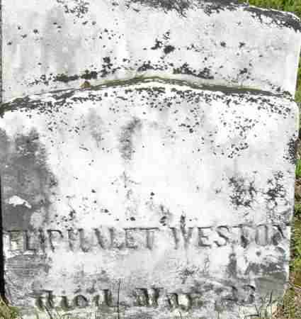 WESTON, ELIPHALET - Middlesex County, Massachusetts | ELIPHALET WESTON - Massachusetts Gravestone Photos