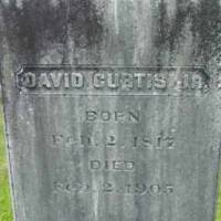 David CURTIS